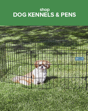 Dog Kennels & Pens